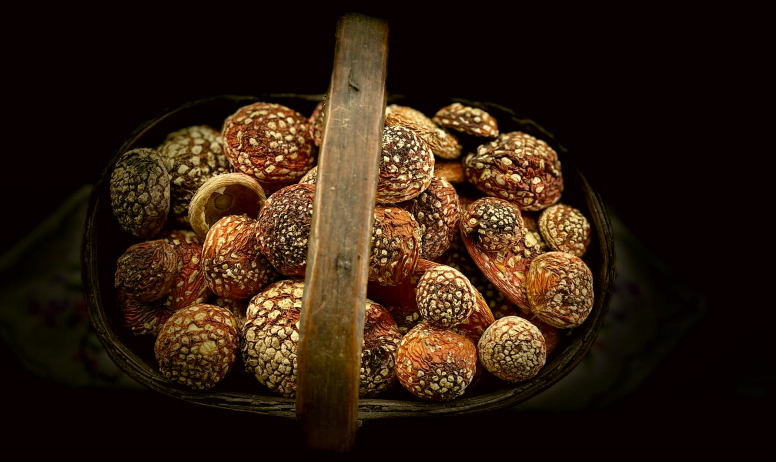 Amanita Muscaria dried mushrooms