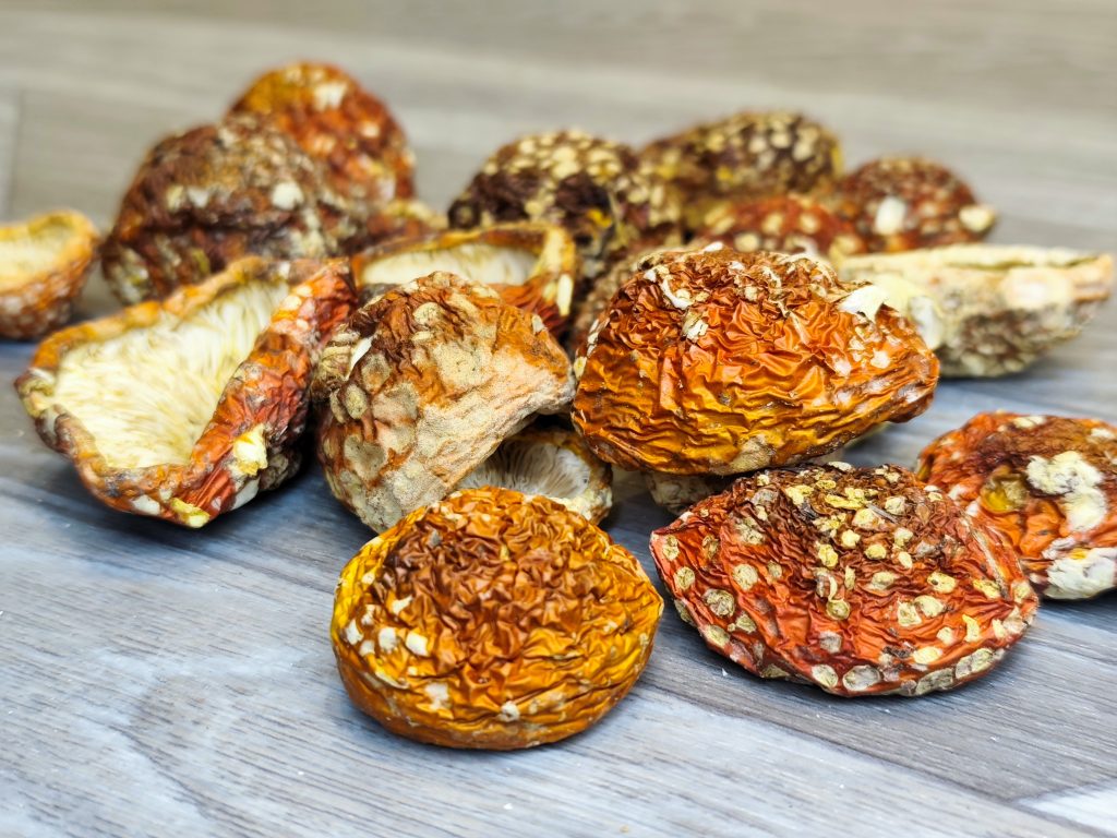 dried amanita muscaria
