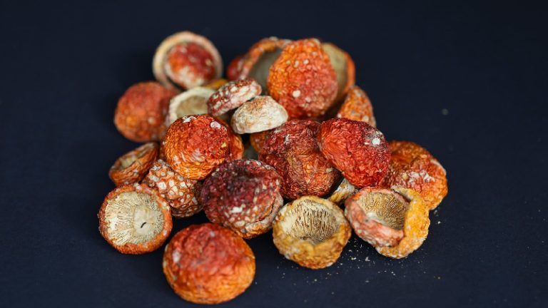 Como Consumir Amanita Muscaria Se Consume