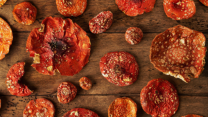 Dried Amanita Muscaria Mushrooms