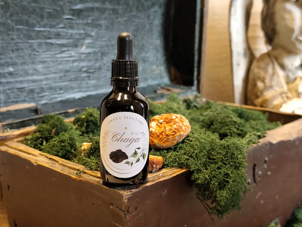 Chaga Tincture Extract – Double Extraction, 50ml. (Latvian Chaga)