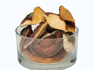 METSIK SIBERI REISHI