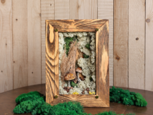 " Wild Forest "– One-of-a-Kind Handmade Moss & Mushroom Wall Art with LED Light